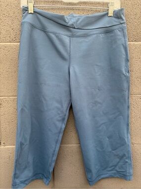 Patagonia Women’s Blue Active Cropped Leggings